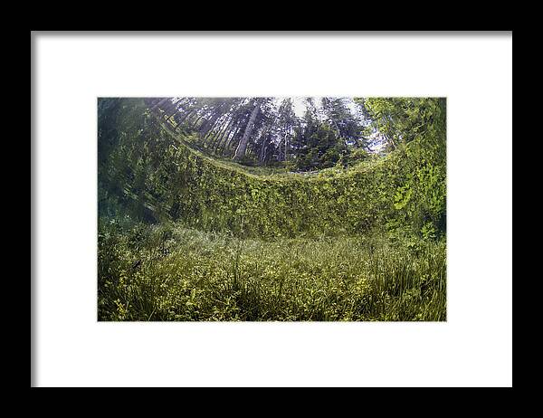 Underwater Framed Print featuring the photograph Austria, Styria, Tragoess, Upward view under water at the Green Lake by Westend61