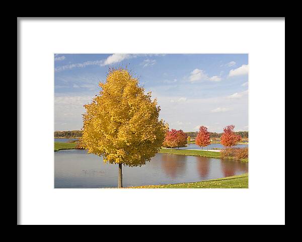 Nature Framed Print featuring the photograph Autumn day by the lake by Elvira Butler