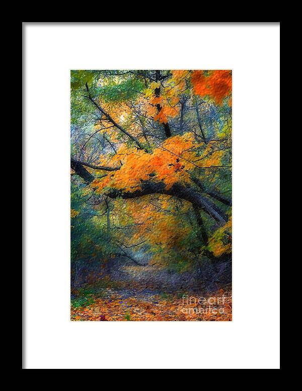 Autumn Framed Print featuring the photograph Autumn 4 by Jeff Breiman