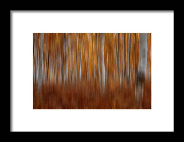 Aspens Framed Print featuring the photograph Autumn Blur by Darlene Bushue