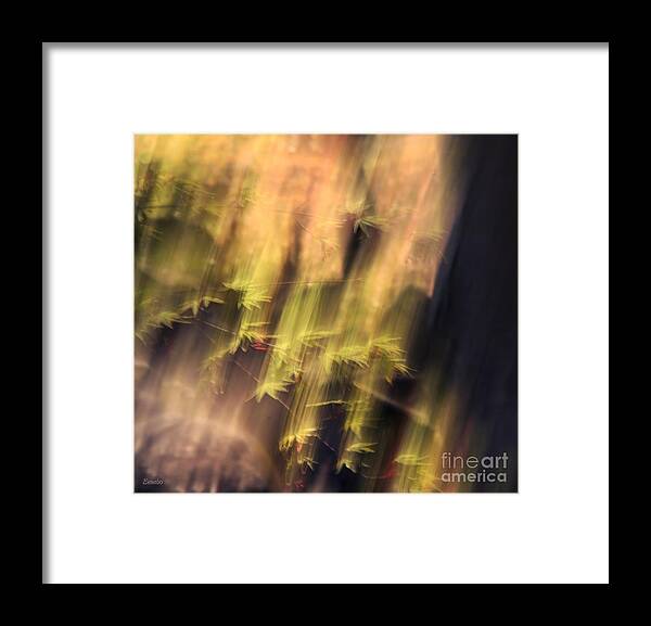 Breeze Framed Print featuring the photograph Autumn Breeze by Eena Bo