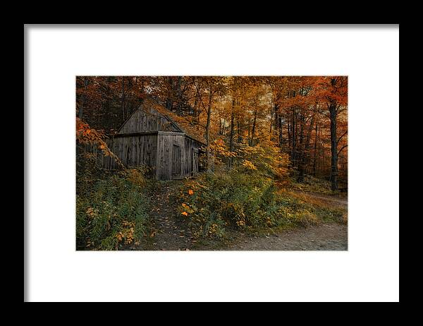 Barn Framed Print featuring the photograph Autumn Canopy by Robin-Lee Vieira