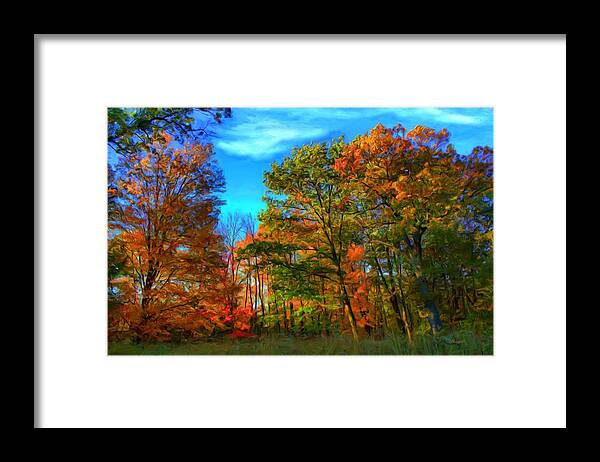 Woods Framed Print featuring the digital art Autumn Clearing by Dennis Lundell