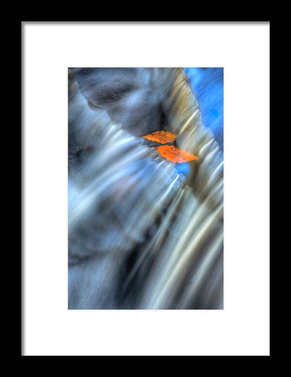 Fall Leaves Framed Print featuring the photograph Autumn Color Caught in Time by John Magyar Photography