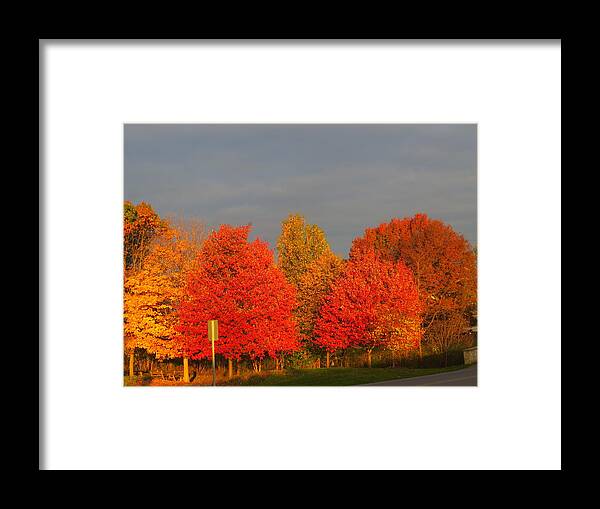 Fall Framed Print featuring the photograph Autumn Colors by Jeanette Oberholtzer