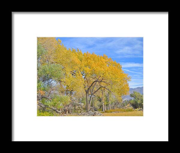 Sky Framed Print featuring the photograph Autumn Colors by Marilyn Diaz