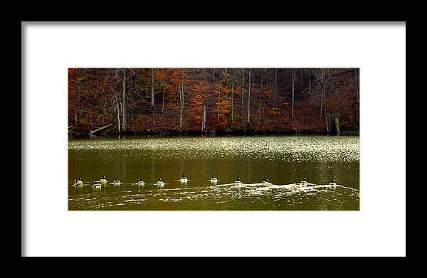 Waterscapes Framed Print featuring the photograph Autumn Cove by Karen Wiles