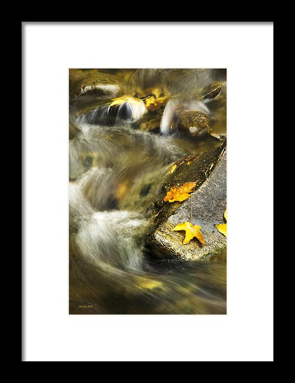 Autumn Framed Print featuring the photograph Autumn Creek by Christina Rollo