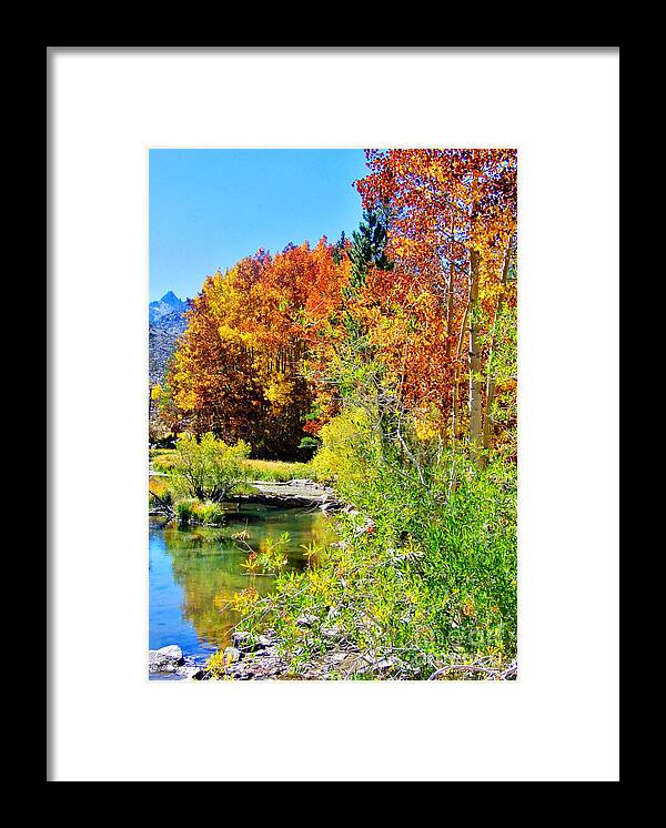 Autumn Framed Print featuring the photograph Autumn Days by Marilyn Diaz