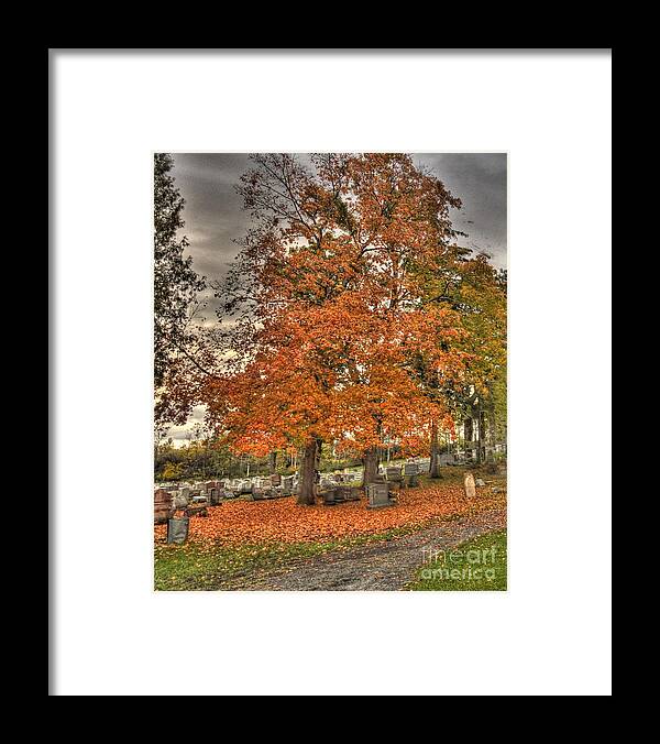 Foliage Framed Print featuring the photograph Autumn Delight by Jim Lepard