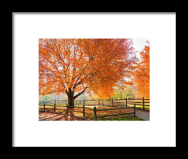 Holmdel Park Framed Print featuring the photograph Autumn Dream by Andrew Kazmierski
