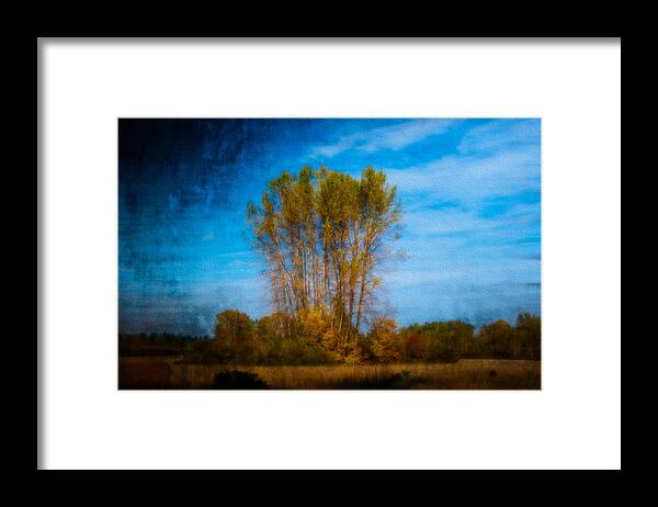 Autumn Framed Print featuring the photograph Autumn Dream by Larry Goss