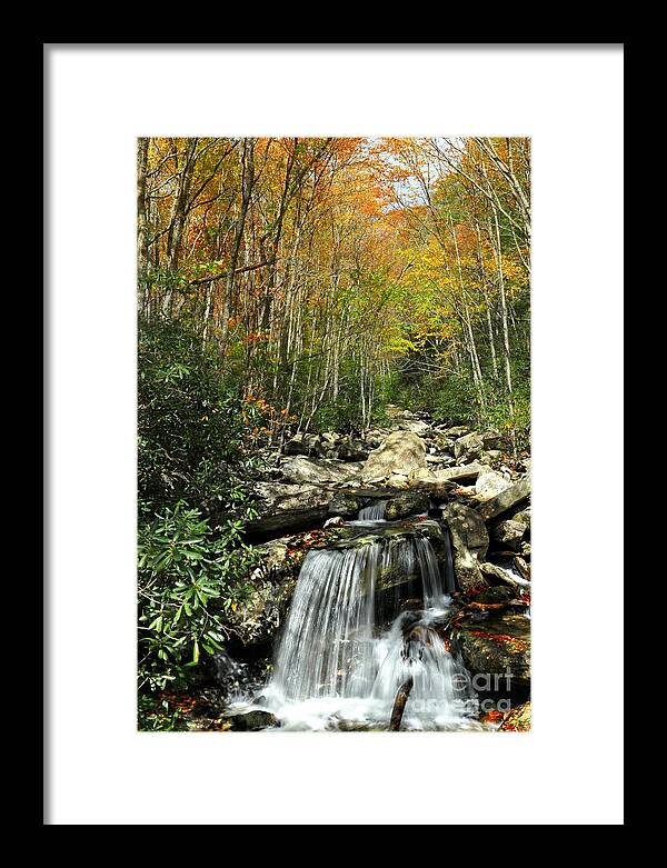 North Carolina Framed Print featuring the photograph Autumn Falls by Benanne Stiens