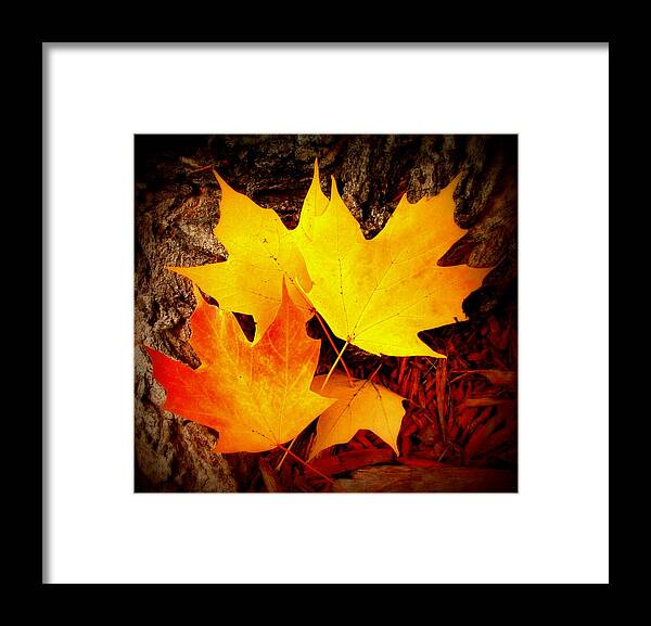 Fine Art Framed Print featuring the photograph Autumn Fire by Rodney Lee Williams