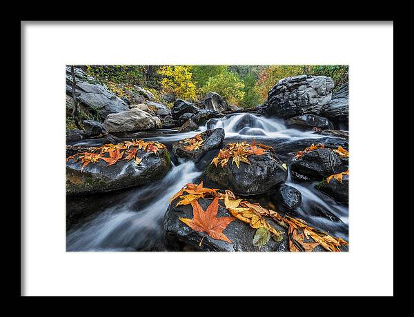 Arizona Framed Print featuring the photograph Autumn Flow by Guy Schmickle