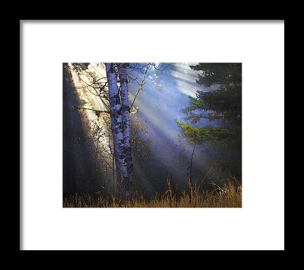 Fantasy Forest Framed Print featuring the photograph Autumn Fog With Sun Rays by Theresa Tahara