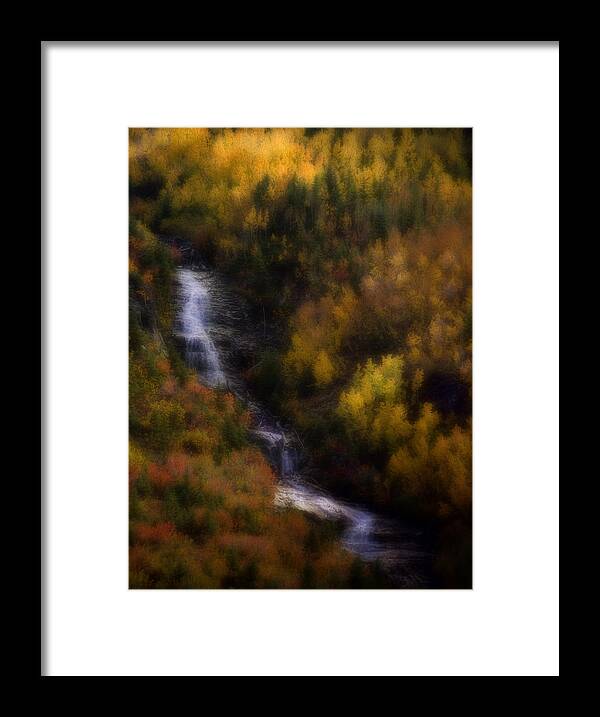 Colorado Framed Print featuring the photograph Autumn Forest Falls by Ellen Heaverlo