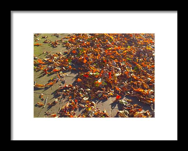 Leaves Framed Print featuring the photograph Autumn Gold by Joan-Violet Stretch