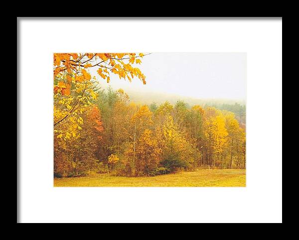 Fall Scenes Framed Print featuring the photograph Autumn Gold by Todd Shepard