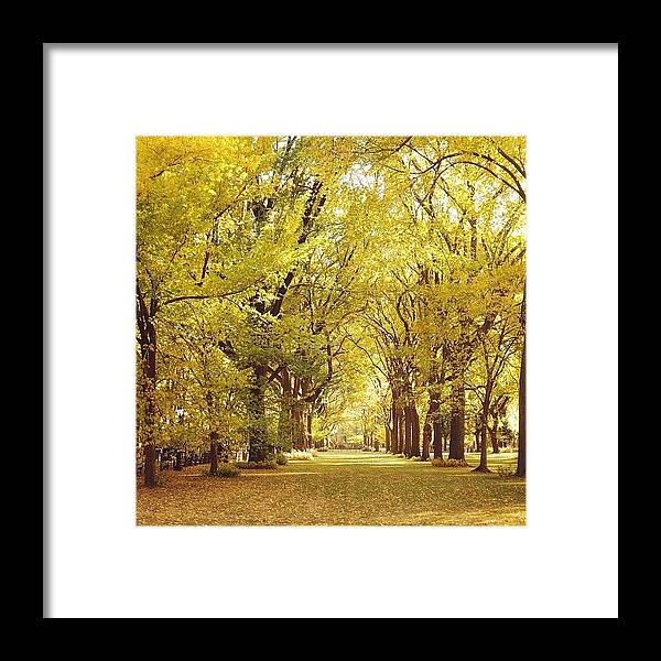 Autumn Framed Print featuring the photograph #autumn Heaven...🍁 by Vivienne Gucwa
