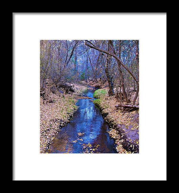 Autumn Framed Print featuring the photograph Autumn in New Mexico by John Babis