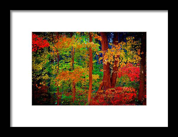 Autumn In Ontario Framed Print featuring the photograph Autumn in Ontario by Patrick Boening