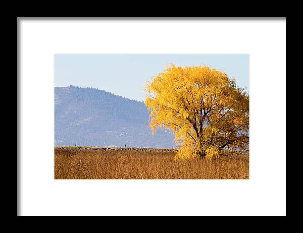 Tranquility Framed Print featuring the photograph Autumn In Oregon, Usa by Mark Miller Photos
