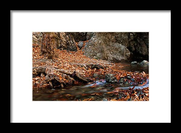 Autumn Framed Print featuring the photograph Autumn landscape by Michalakis Ppalis