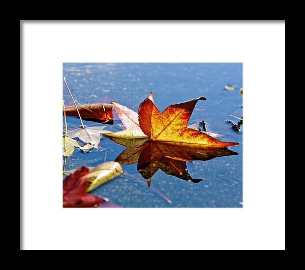 Autumn Leaves Framed Print featuring the photograph Autumn Leaves by Her Arts Desire