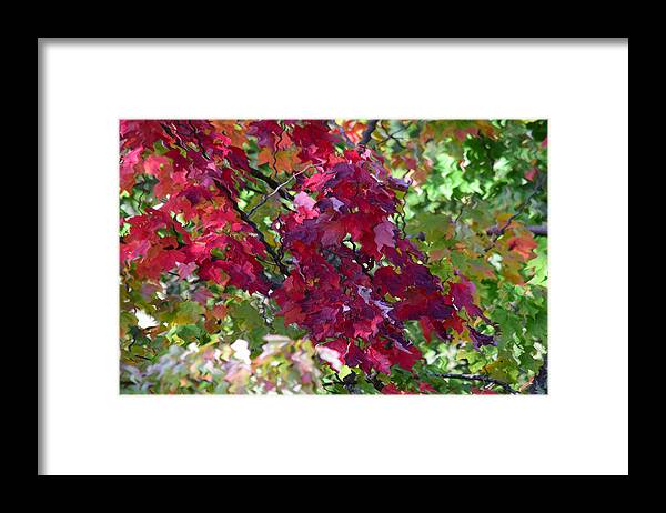 Pond Framed Print featuring the photograph Autumn Leaves Reflections by Gary Smith