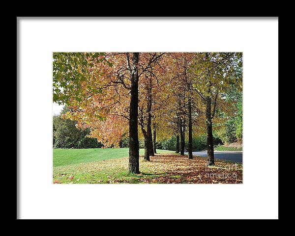 Autumn Framed Print featuring the photograph Autumn Light  2 by Tatyana Searcy