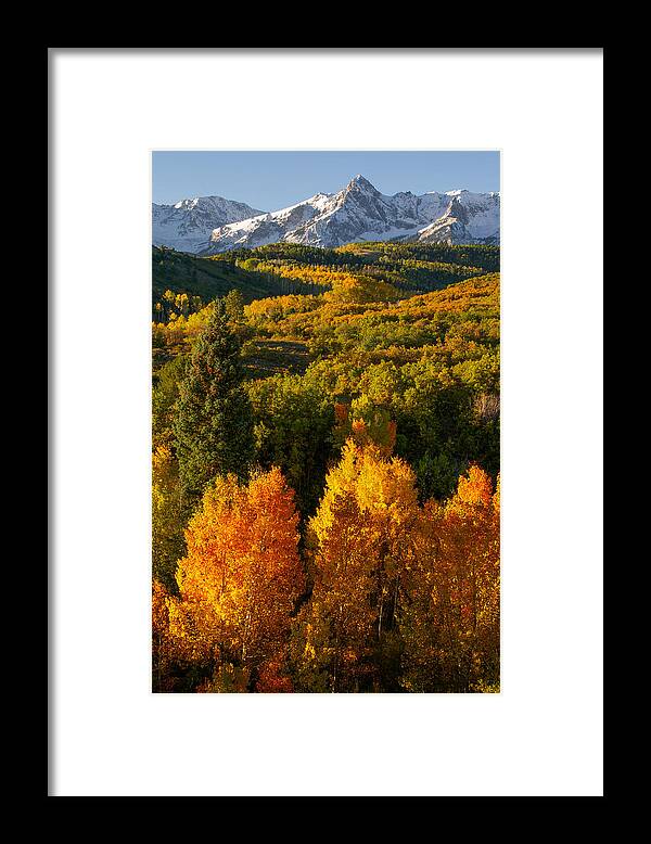 Autumn Framed Print featuring the photograph Autumn Light by Aaron Spong