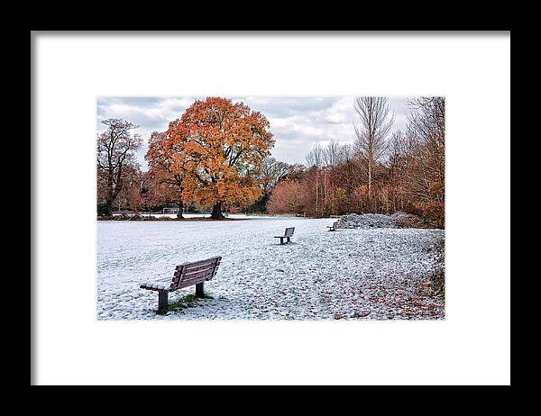Shirley Mitchell Framed Print featuring the photograph Autumn meet Winter by Shirley Mitchell