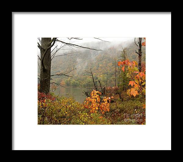 Mist Framed Print featuring the photograph Autumn Mist by Rod Best