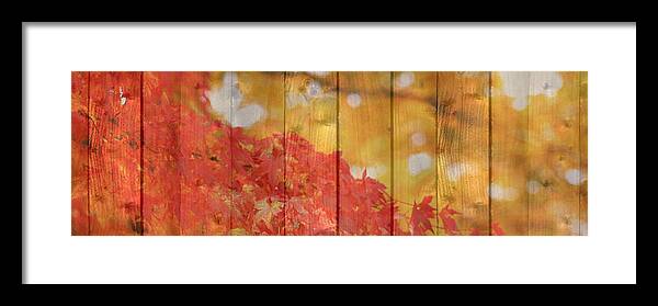 Autumn Framed Print featuring the photograph Autumn Outdoors 1 of 2 by Beverly Claire Kaiya