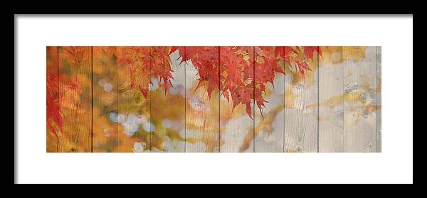 Autumn Framed Print featuring the photograph Autumn Outdoors 2 of 2 by Beverly Claire Kaiya