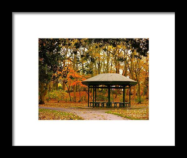 Autumn Framed Print featuring the photograph Autumn Paradise by Joan-Violet Stretch