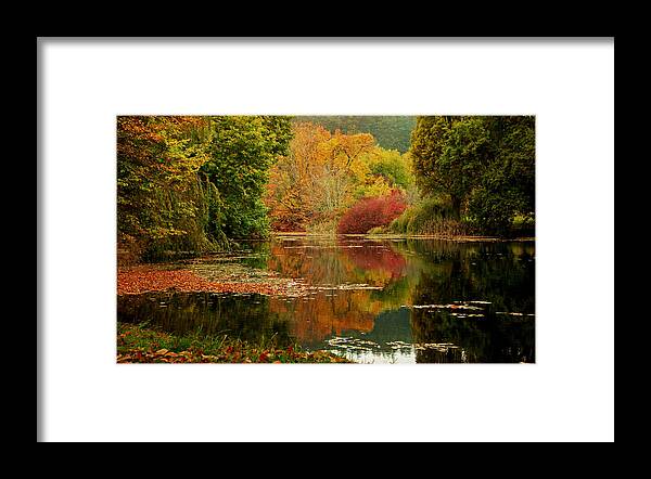 Autumn Framed Print featuring the photograph Autumn Pond by Marilyn Wilson