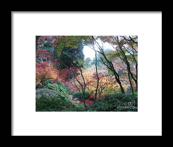  Framed Print featuring the photograph Autumn Portland by Mars Besso