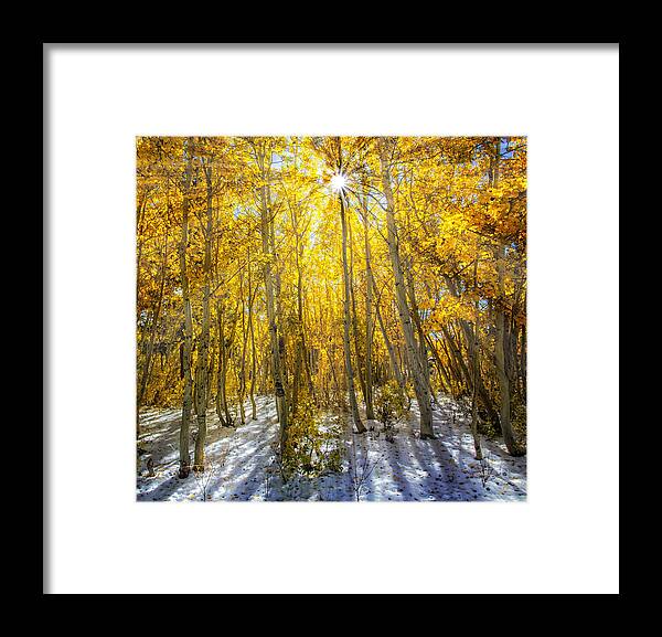 Autumn Framed Print featuring the photograph Autumn Rays by Tassanee Angiolillo