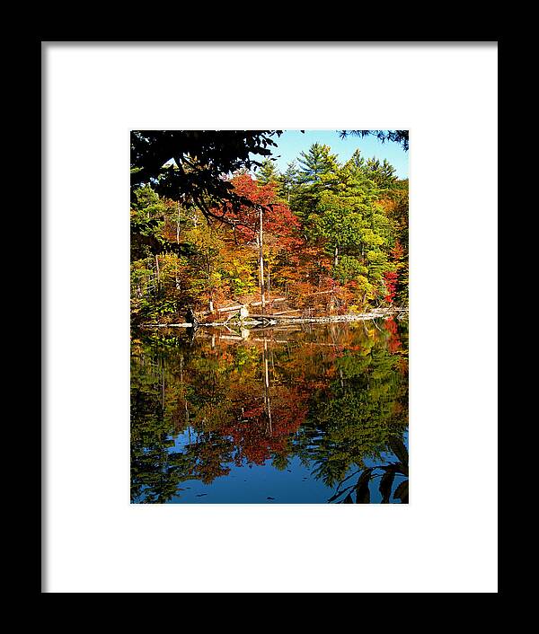 Autumn Framed Print featuring the photograph Autumn reflection by Meagan Johnson