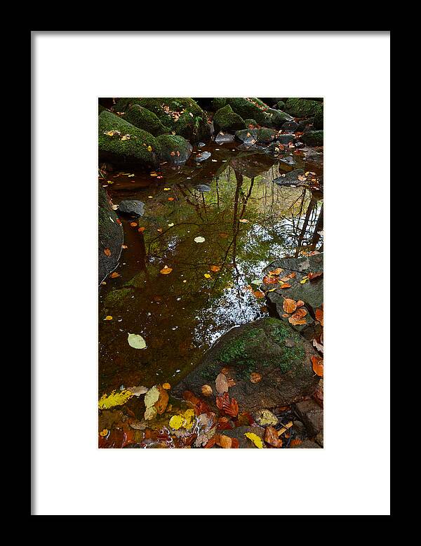 Padley Gorge Framed Print featuring the photograph Autumn Reflections Padley Gorge by Nick Atkin