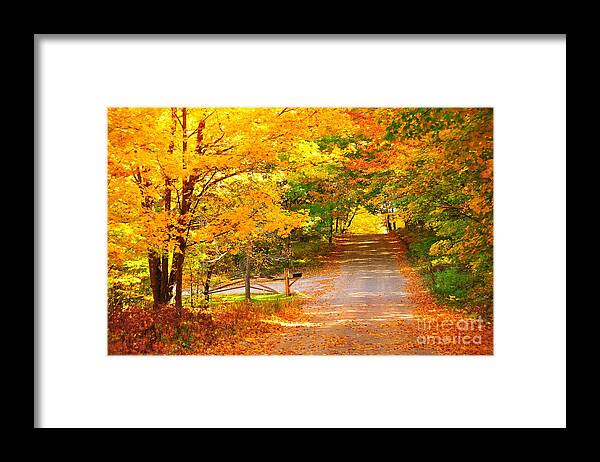 Autumn Framed Print featuring the photograph Autumn Road Home by Terri Gostola