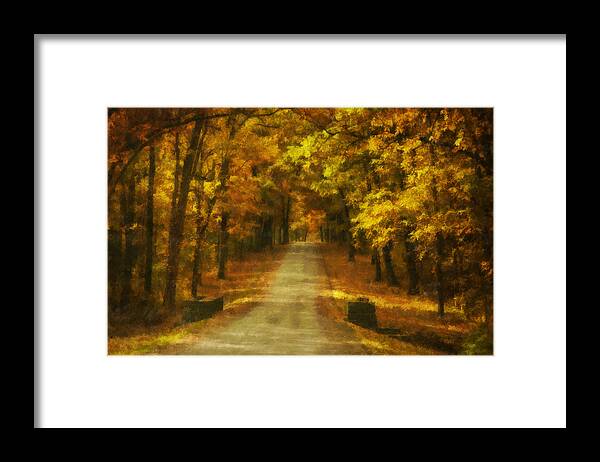 Autumn Framed Print featuring the photograph Autumn Road by Mick Burkey