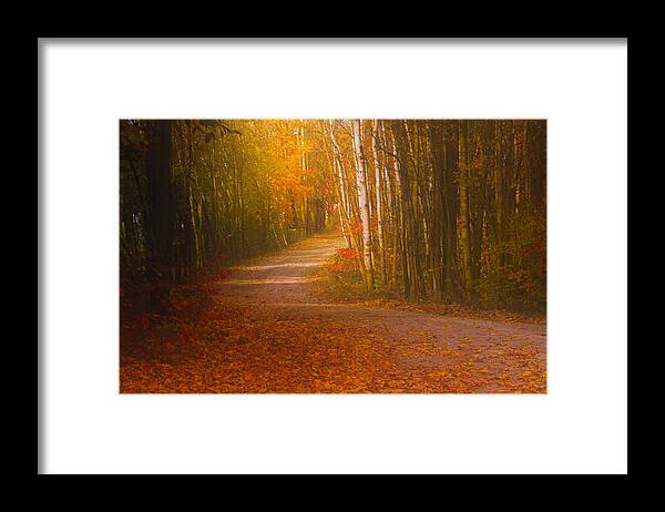 Road Autumn Fall Colors Landscape Photograph Print Acrylic Canvas Metal Leaves Trees Ontario Canada Framed Print featuring the photograph Autumn Roadway by Jim Vance