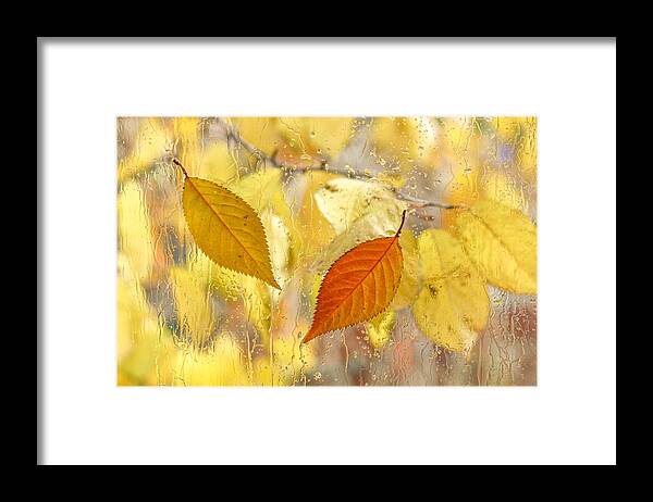 Fall Leaves Framed Print featuring the photograph Autumn Romance by Marina Kojukhova