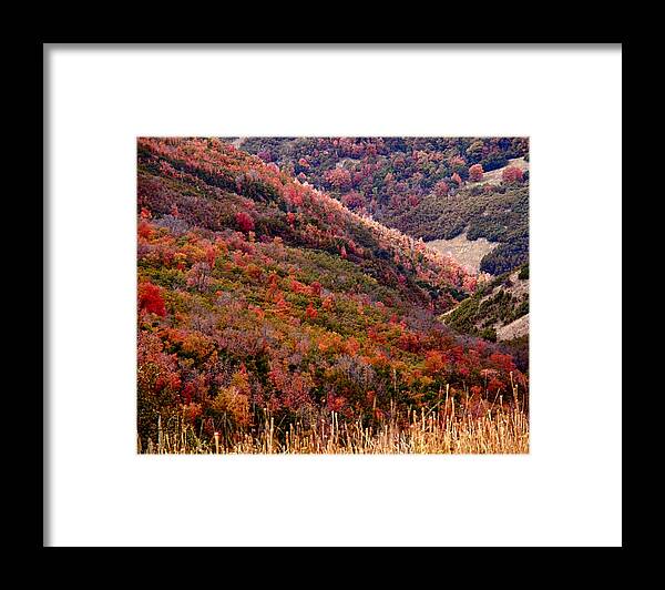 Autumn Framed Print featuring the photograph Autumn by Rona Black