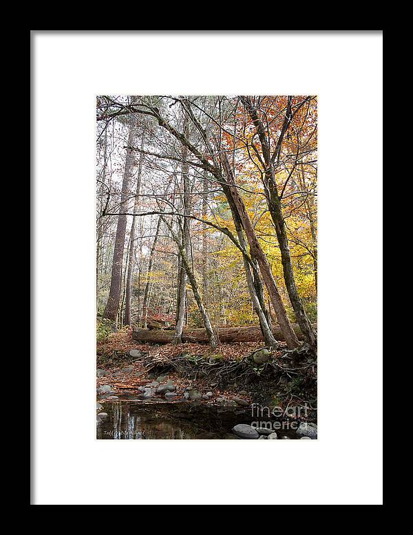 Landscape Framed Print featuring the photograph Autumn Seclusion by Todd Blanchard