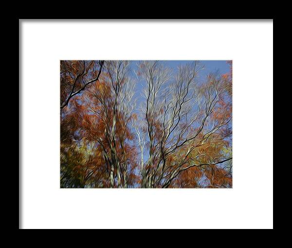Tree Framed Print featuring the digital art Autumn Sky by Kelvin Booker