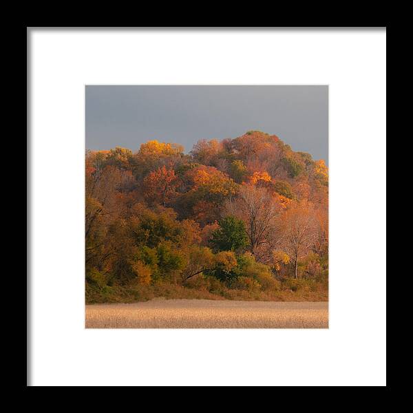 Autumn Framed Print featuring the photograph Autumn Splendor by Don Spenner
